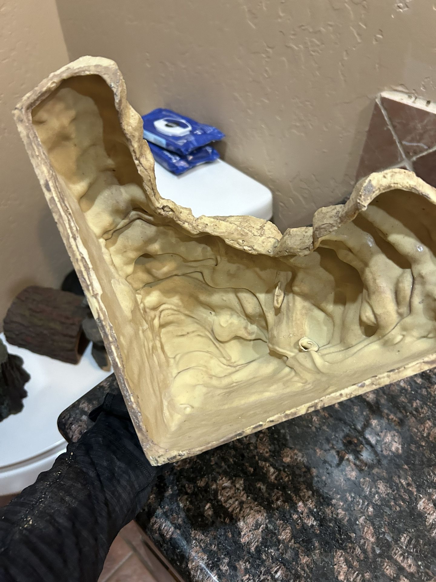 Lizard Or Snake Hideout