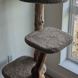 PENDING | 4 Tiered Driftwood Cat Tree 