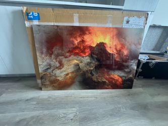 Stunning glass wall art. Perfect condition