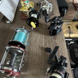 Catfish / Musky / Surf Reels 