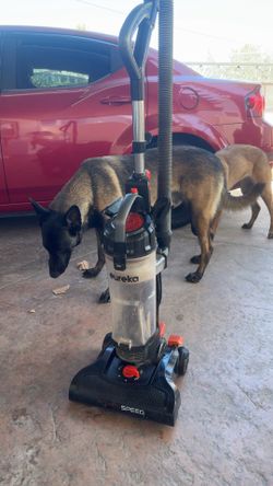 Vaccumm