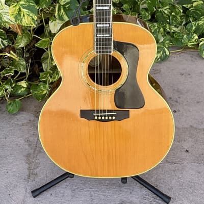 Guild JF55 NT -Jumbo Acoustic Guitar w/ OHSC