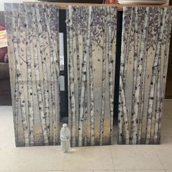 3 Huge Canvas Asking $30 Or Best Offer