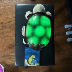 Twilight Turtle