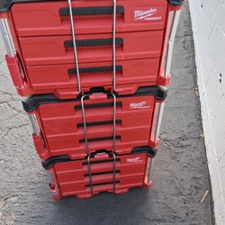 Milwaukee Packout 