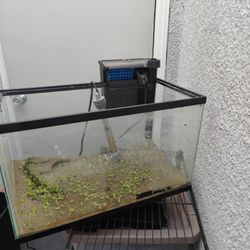 10 Gallon Fish Tank With Heater And Filter 