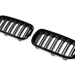 BMW Grille 