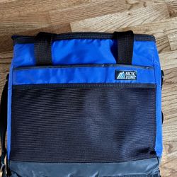 Igloo Collapse & Cool Sport Cooler Bag