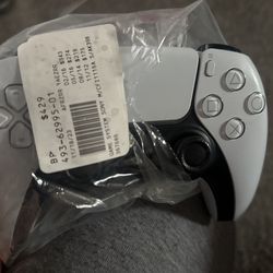 PS5 Controller 