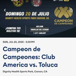 Campeón De Campeónes