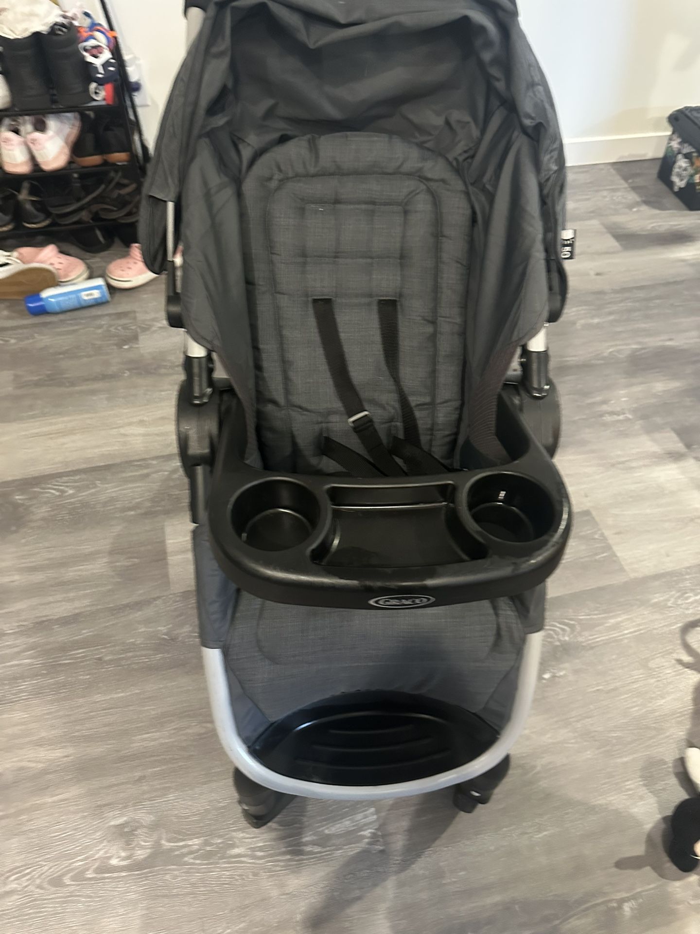 Graco Travel System