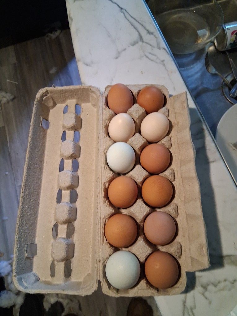 Farm Fresh Chicken Eggs