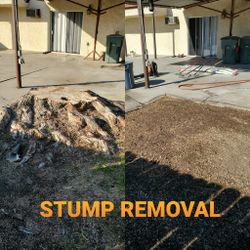 Stump Grinding Messge, Tree Messge