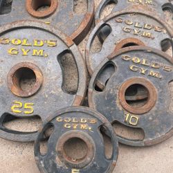 ($70) Golds Gym Weights (2) 25lbs, (3) 10lbs, (1) 5lbs.