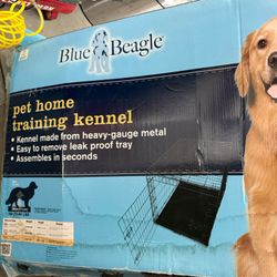 Kennel/Pet Training