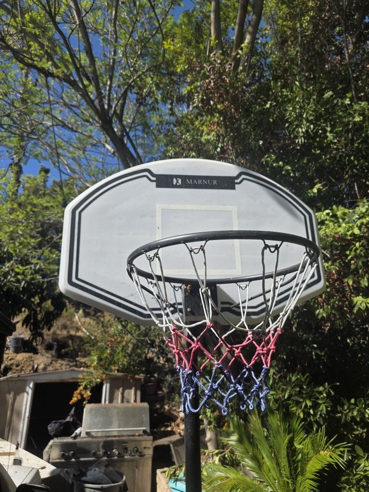Basketball Hoop Child And Adult