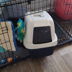 Litter Box Free
