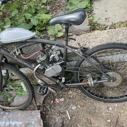 50cc Gas Paddle Bike 