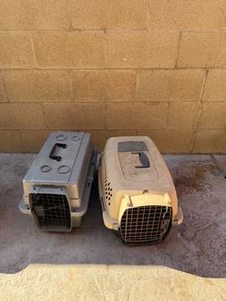 Small dog taxis