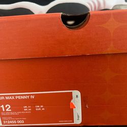 Air max penny