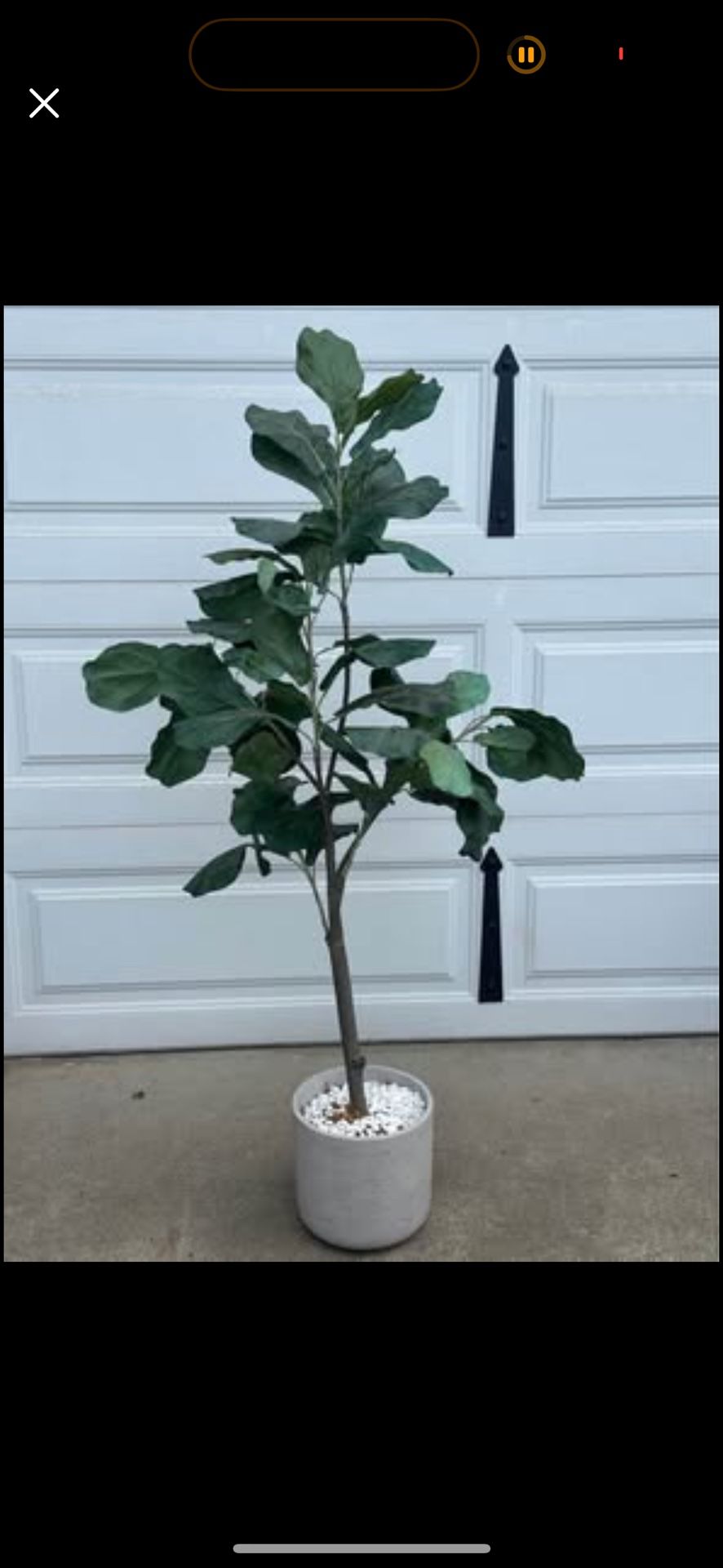 5’ tall Artificial Plant in Pot