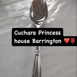 Princess House Cuchara Barrington 