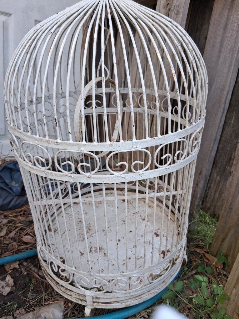 Vintage Victorian Bird Cage