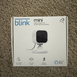 Blink Mini Camera 