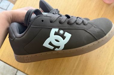 DC Men’s striker shoes