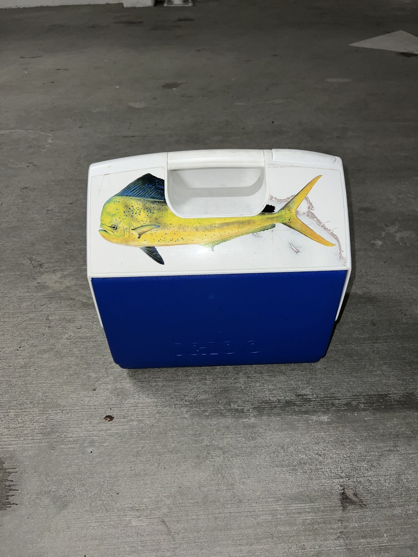 Cooler