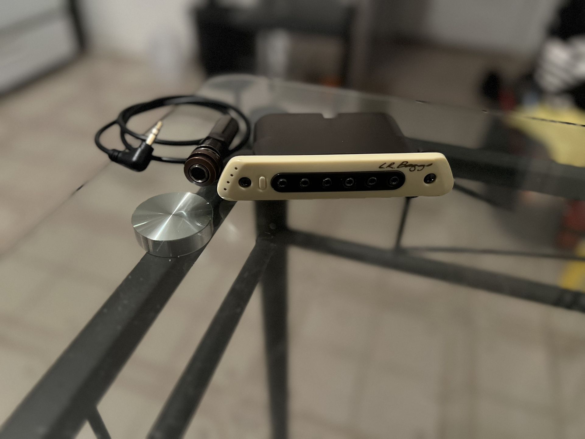 L.R. Baggs M80 Acoustic Guitar Magnetic Soundhole Pickup