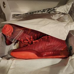 Nike LeBron XXI SIZE 10