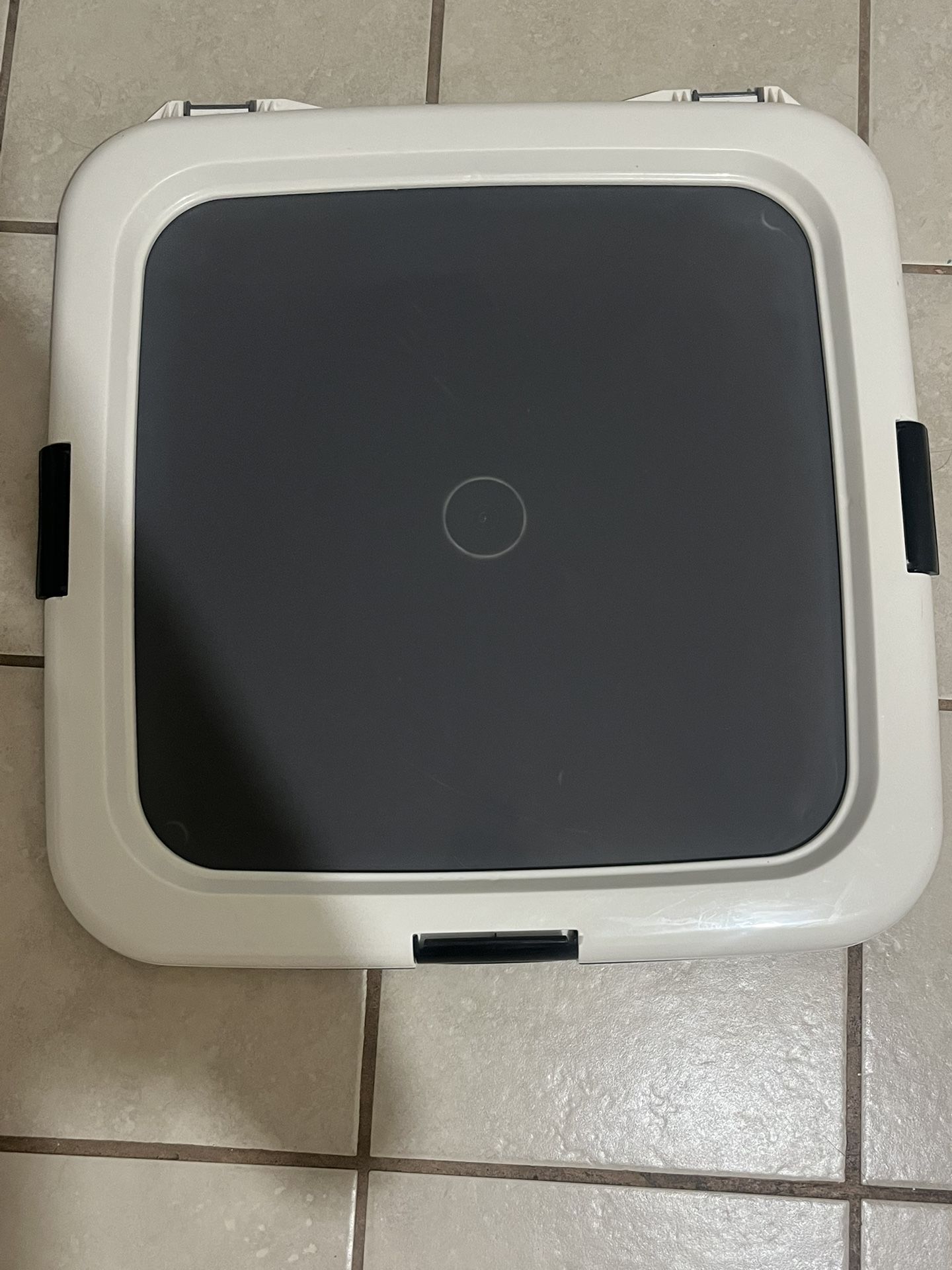 Dog/trainig Tray