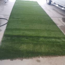 Artificial Grass
