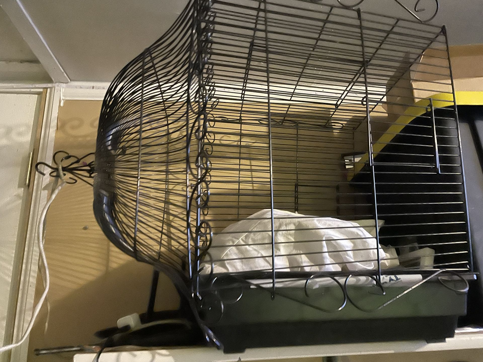 Bird Cage