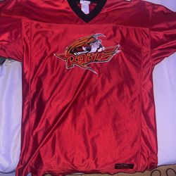 Grumpy Disneyland jersey 