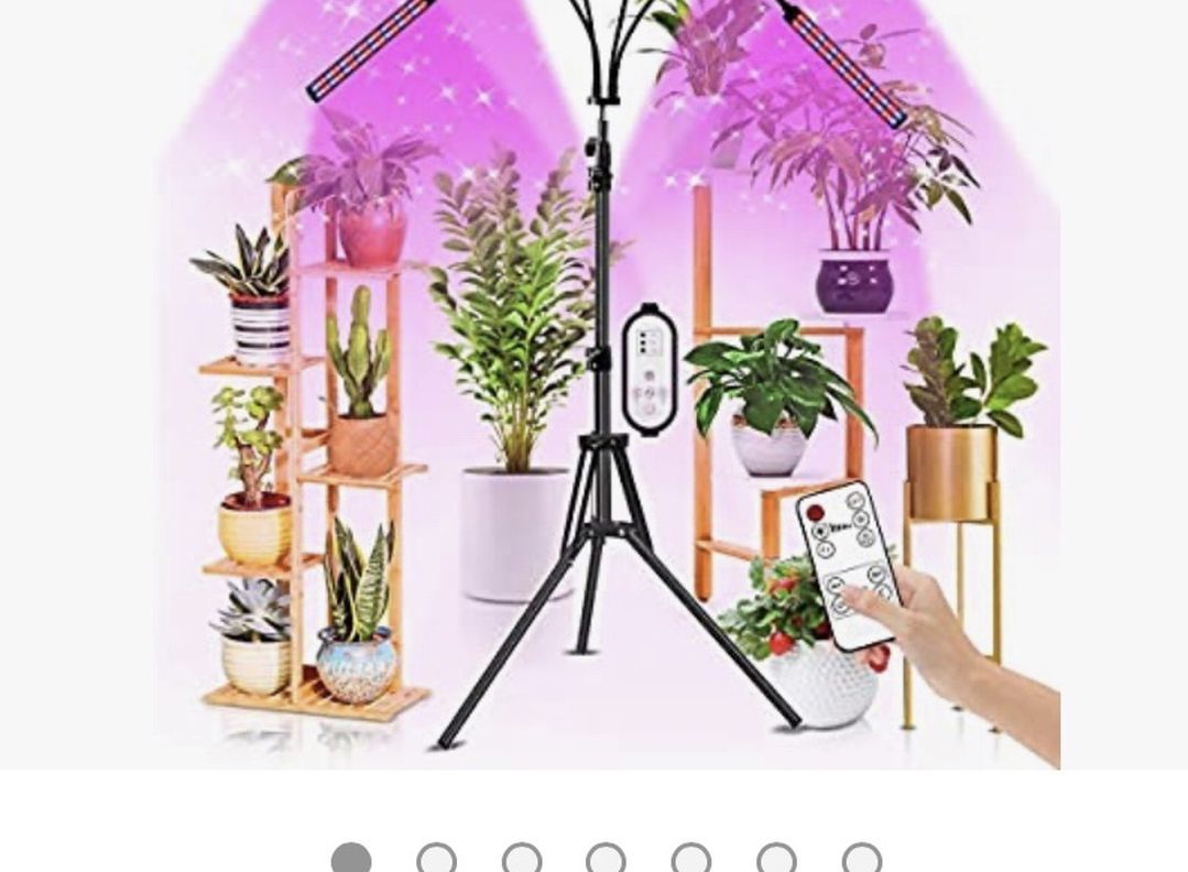 Grows Lights for Indoor Plants