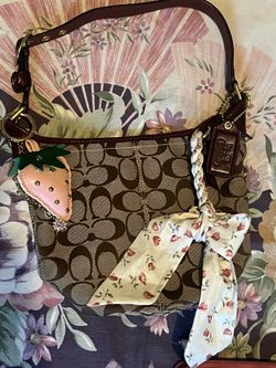 Coach bag