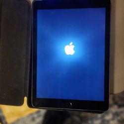 Like New 10.9 Inch Ipad Air 2 With Protective Case