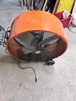 Fan