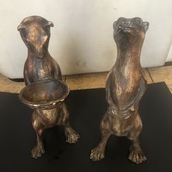 Wood Otters 🦦🦦