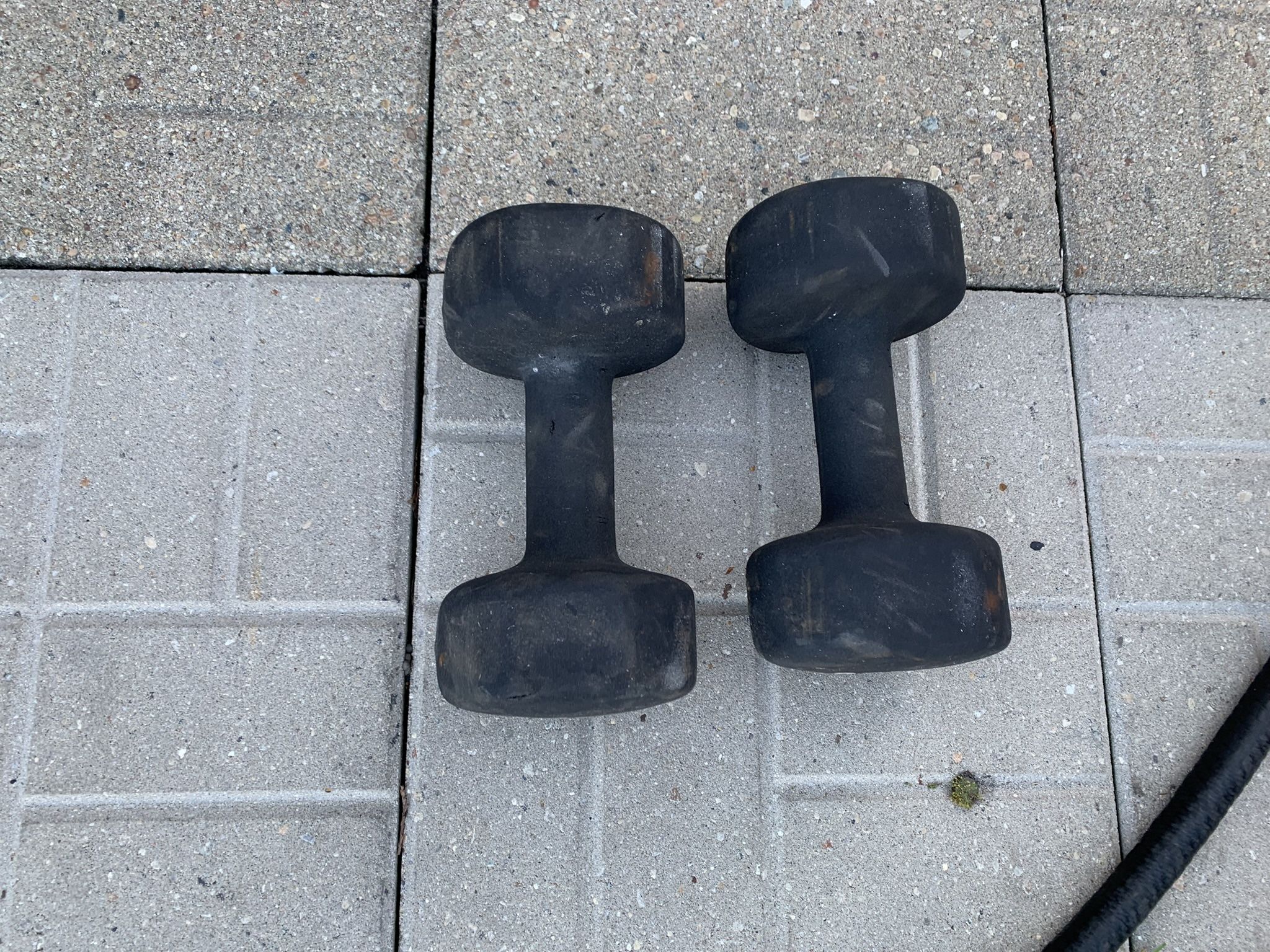 25 Pound Dumbbells 