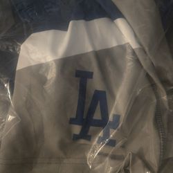 Men's Dodger Shorts Size Large 