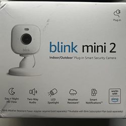 Blink Mini 2