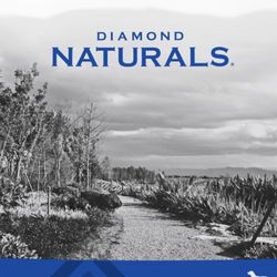 Diamond Naturals Dog Food - 40lb 