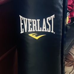 Everlast Punching Bag