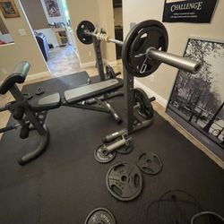 Home Gym Weight & Bench Set Up 