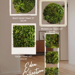 Eden Collection Fall Sale