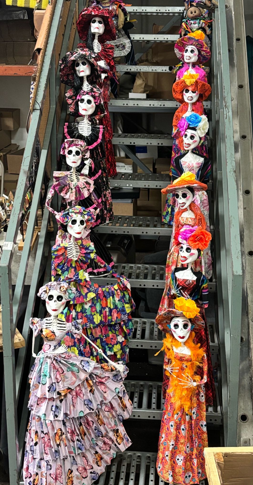 Catrina