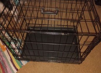 Collapsible dog kennel